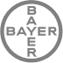 Bayer Cross 1