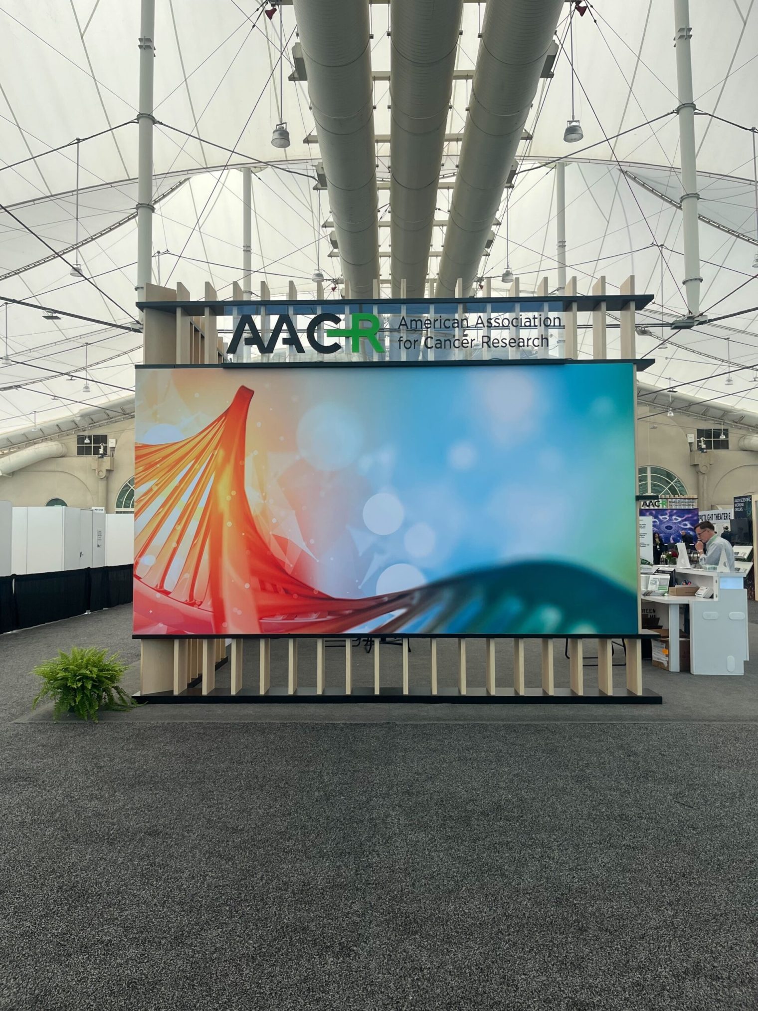 AACR 2026